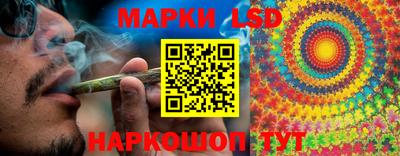 гидра Донецк