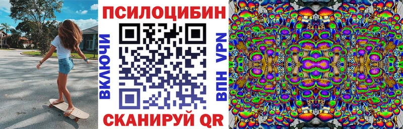 Галлюциногенные грибы Psilocybe  Сыктывкар 