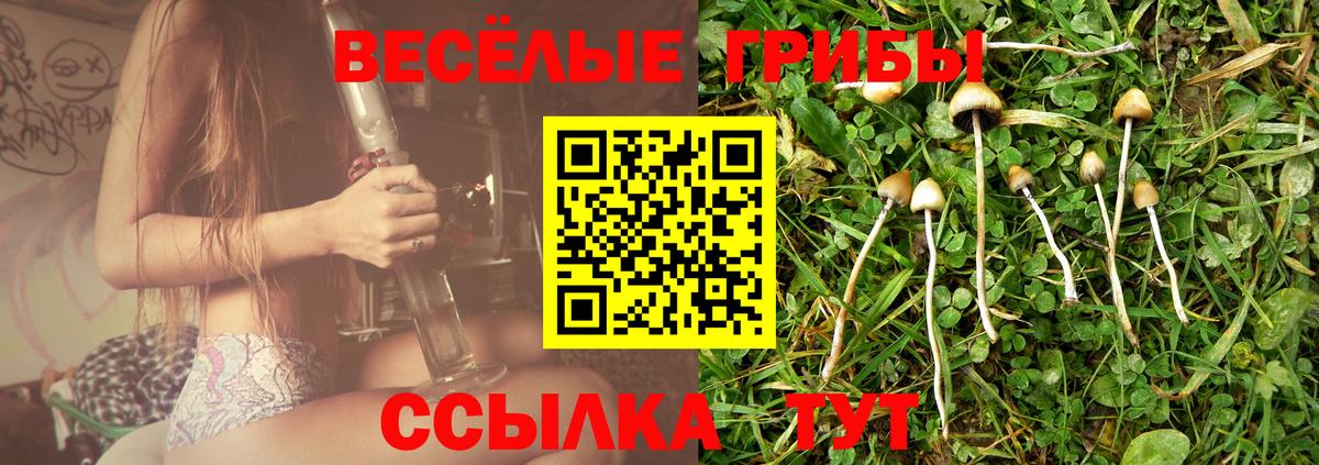 Сыктывкар  Псилоцибиновые грибы ЛСД  купить наркотики сайты  Вход с VPN 